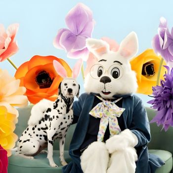 Pet Photos with the Bunny at Gurnee Mills 